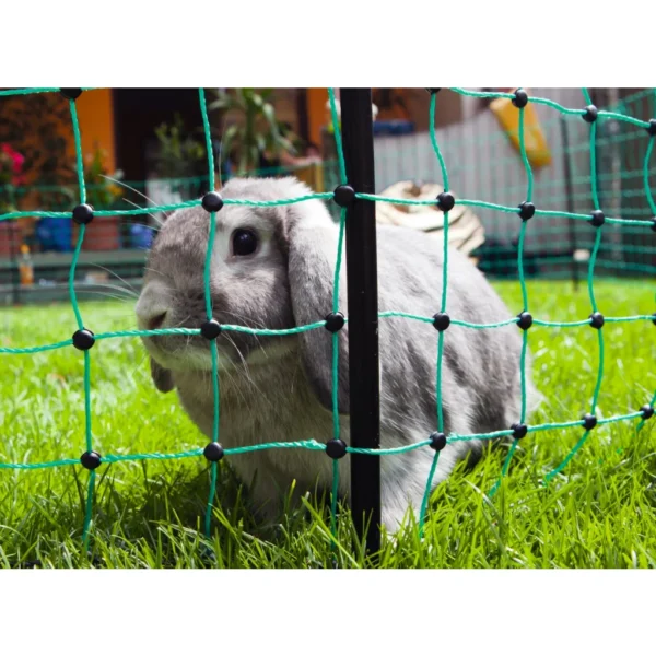 Net afrast konijn 65 cm, enkelpunt 12 m.