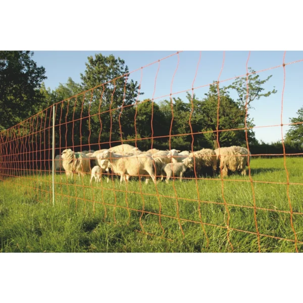 Euro-Netz 90 cm enkelpunt schaap